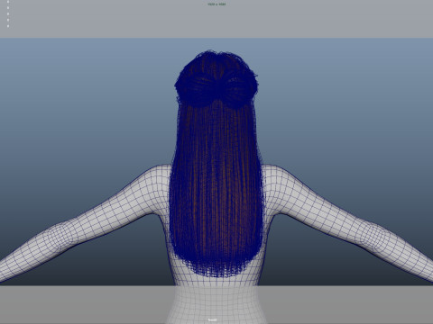 Female Hair 3D Model