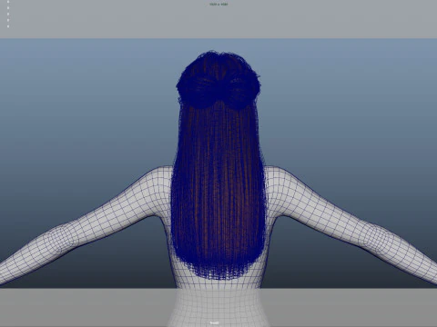 Female Hair 3D Model