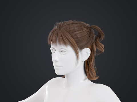Female Hair Modelo 3D