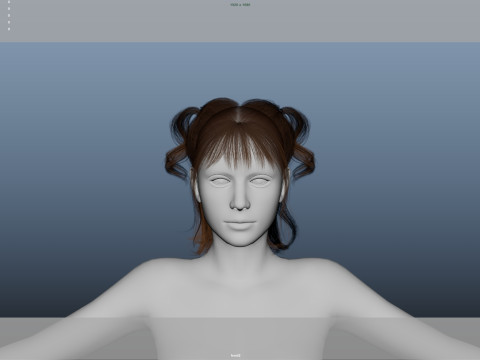 Female Hair Modelo 3D
