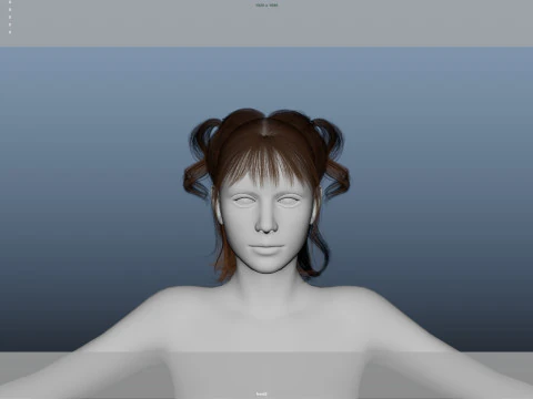 Female Hair 3D Model
