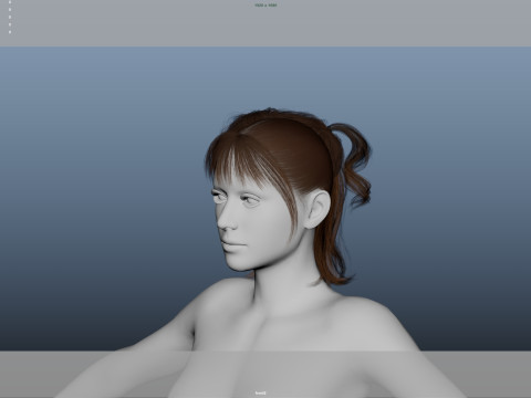 Female Hair Modelo 3D
