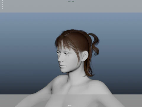 Female Hair 3D Model