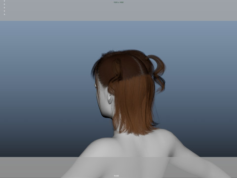 Female Hair Modelo 3D