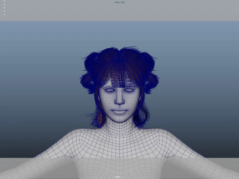 Female Hair 3D Model