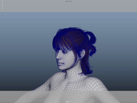 Female Hair Modelo 3D