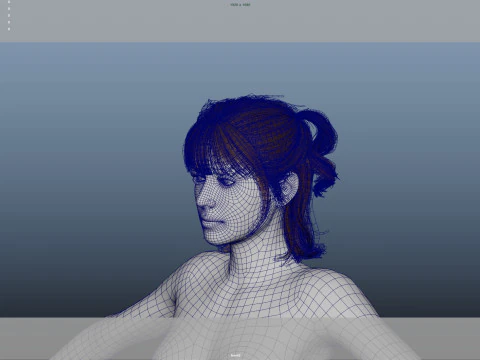 Female Hair 3D Model