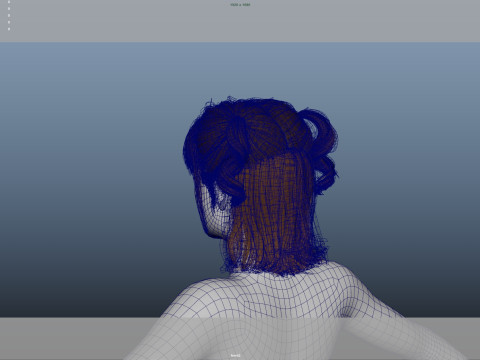 Female Hair Modelo 3D