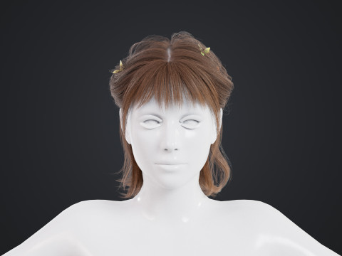 Female Hair Modelo 3D
