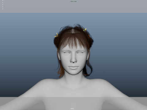 Female Hair Modelo 3D