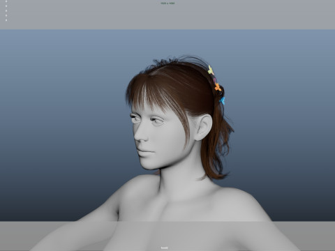 Female Hair Modelo 3D
