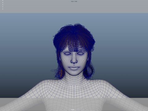 Female Hair Modelo 3D