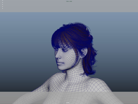 Female Hair Modelo 3D
