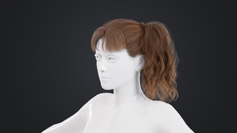 Female Hair Model 3D .c4d .max .obj .3ds .fbx .stl .blend 