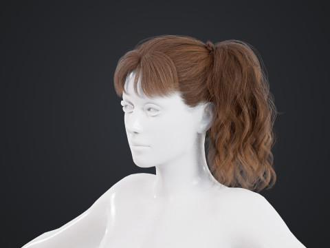 Female Hair Model 3D