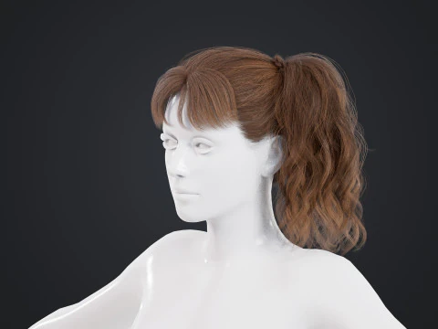 Cabelo Feminino Modelo 3D