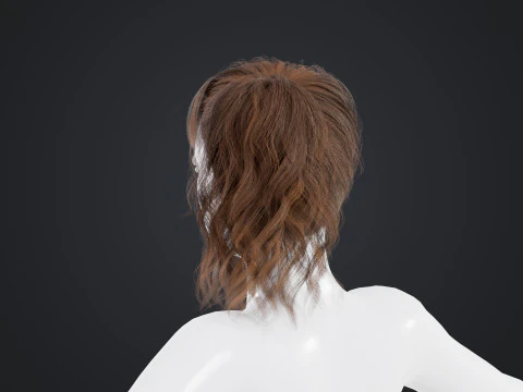 Female Hair 3D Model