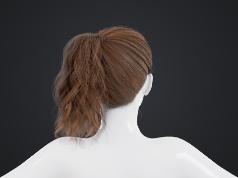 Female Hair Model 3D
