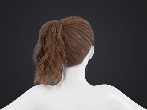 Female Hair 3D Model