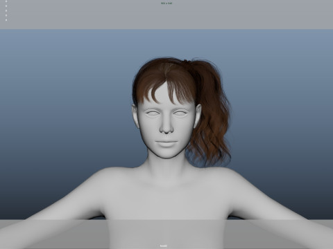 Female Hair Model 3D
