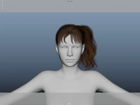Female Hair 3D Model