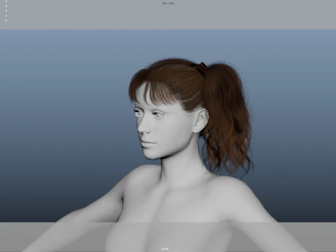 Female Hair 3D Model