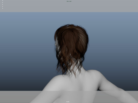 Female Hair Model 3D