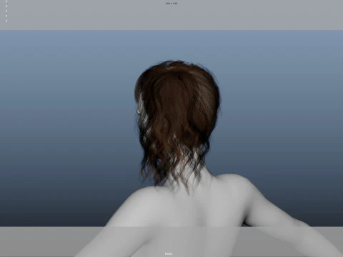 Female Hair 3D Model