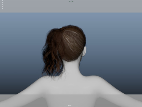 Female Hair Model 3D