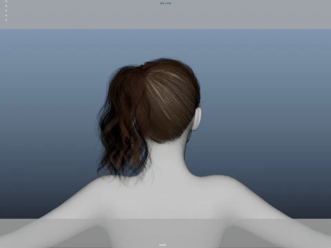 Female Hair 3D Model