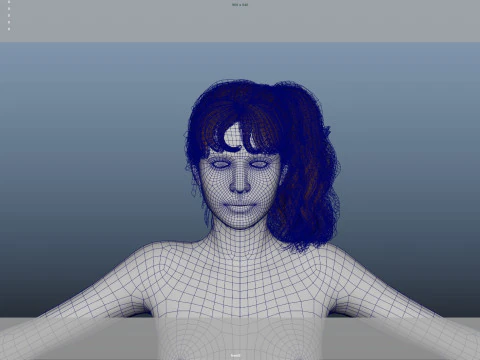 Female Hair 3D Model