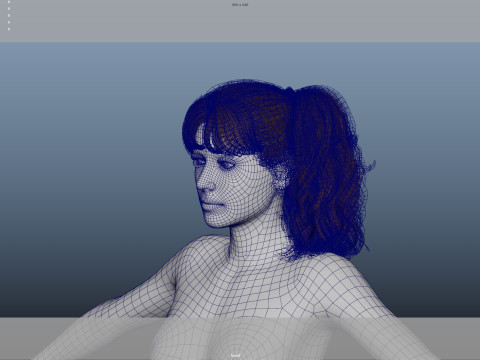 Female Hair Model 3D