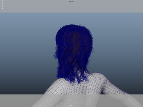 Female Hair Model 3D