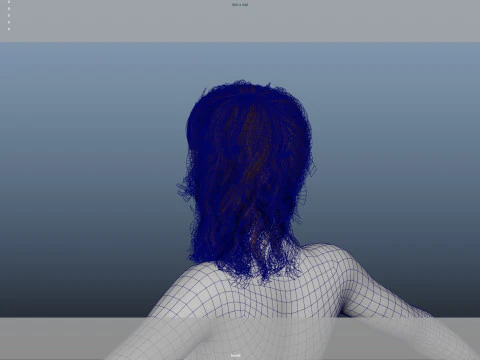 Female Hair 3D Model