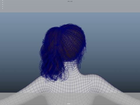 Female Hair Model 3D