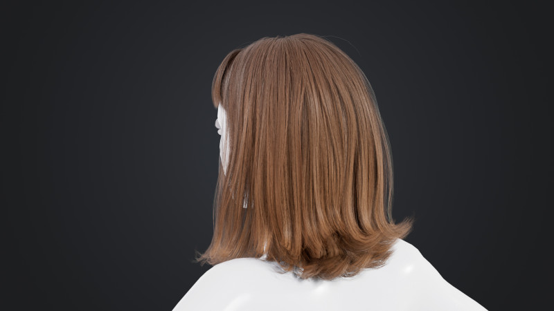 Female Hair 3D Model .c4d .max .obj .3ds .fbx .stl .blend 
