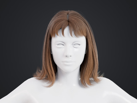 Female Hair 3D Model
