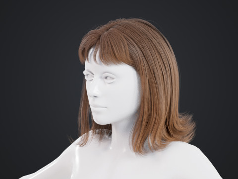 Female Hair 3D Model