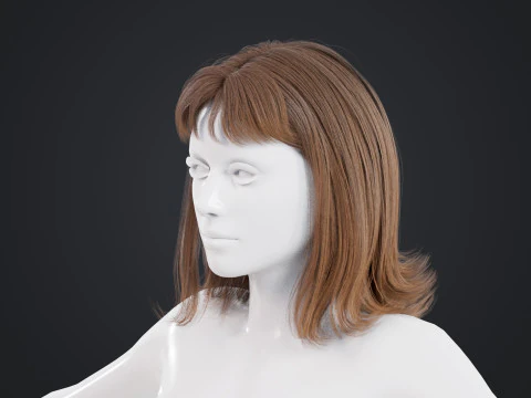 Female Hair 3D Model