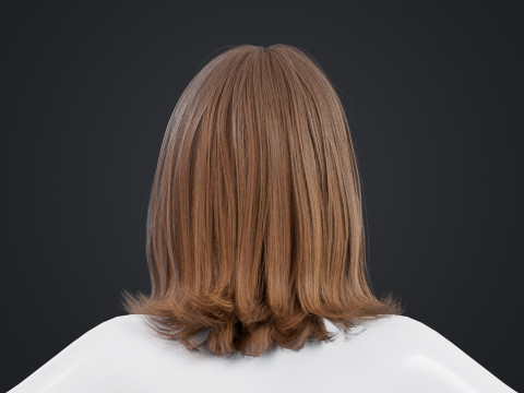 Female Hair 3D Model