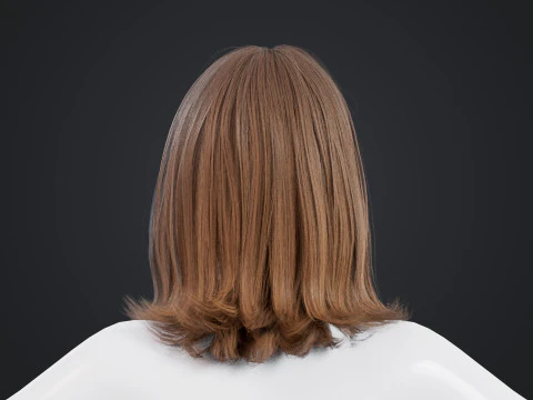 Female Hair 3D Model