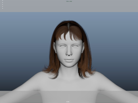 Female Hair 3D Model