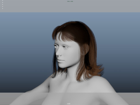 Female Hair 3D Model