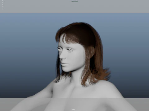 Female Hair 3D Model