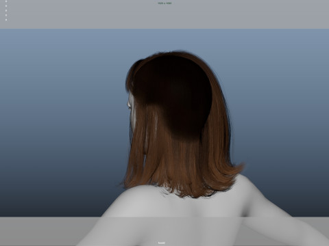 Female Hair 3D Model