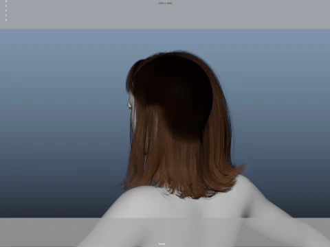 Female Hair 3D Model