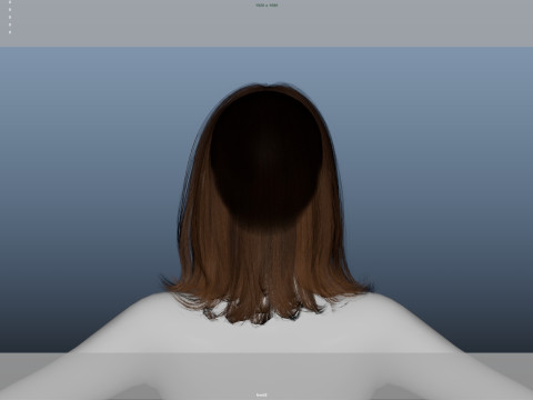 Female Hair 3D Model