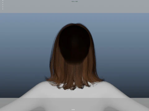 Female Hair 3D Model