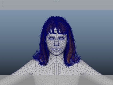 Female Hair 3D Model