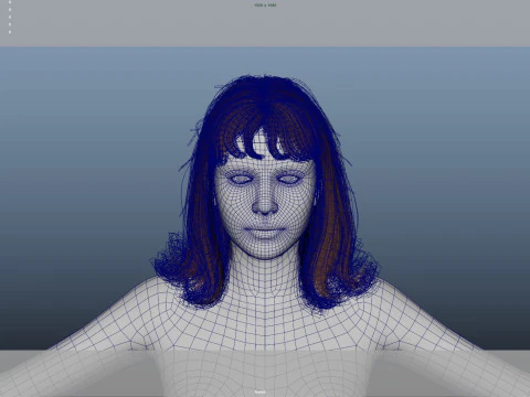 Female Hair 3D Model